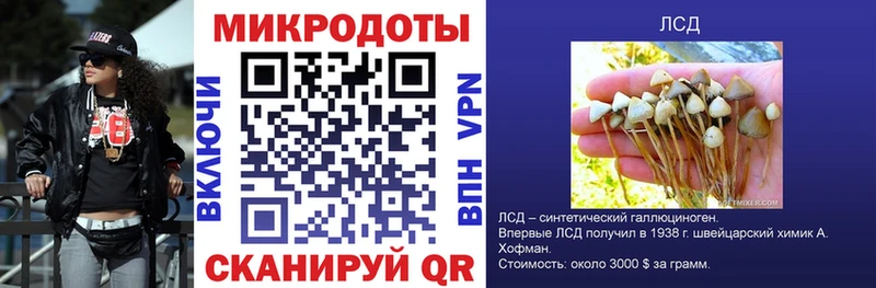 Купить закладки  Заречный  Галлюциногенные грибы Psilocybe 